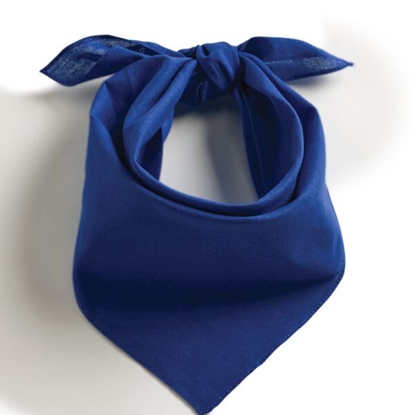 AUG COTTON BANDANA Thumbnail